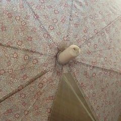 子供用　傘の画像