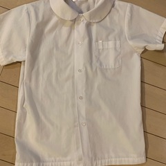 丸襟綿半袖140センチ