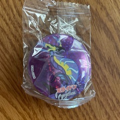差し上げます　マグネット　ポケモン　ミライドン