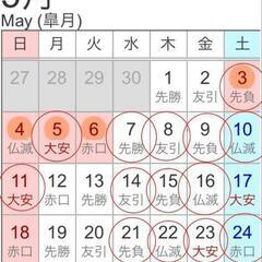 人吉の三兄弟メダカ めだか メダカ