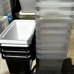 スタッキングボックス　メダカ容器