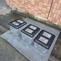 プラケース3個セット