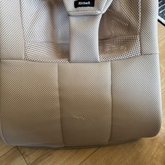 リッチェル バウンシングシートN バウンサーの画像