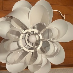 電灯の傘