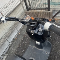 ホンダ　ズーマー　の画像