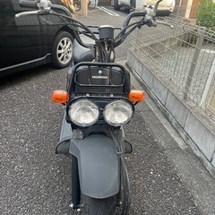 ホンダ　ズーマー　の画像