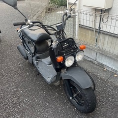 ホンダ　ズーマー　