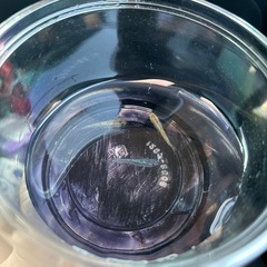 最終値下げの画像