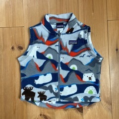 Patagonia ベスト