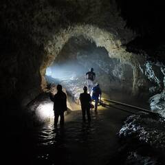 徳之島の神秘体験　副業　インストラクター募集の画像