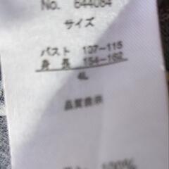 値下げ⭐大きいサイズワンピの画像