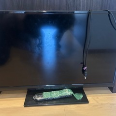 テレビ　