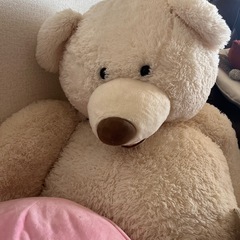 コストコ　　クマのぬいぐるみ
