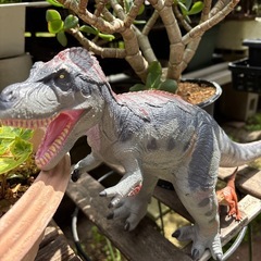 フィギュア恐竜2体の画像