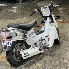 実働 カスタム ホンダ角目シャリー12V FC50の画像