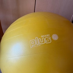 ギムニクプラス75cm トレーニングボール バランスボール 