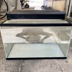 60cm水槽(ガラス蓋、ライト付き)の画像