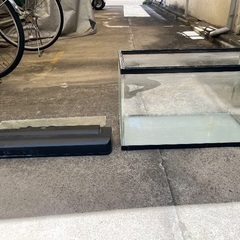 60cm水槽(ガラス蓋、ライト付き)