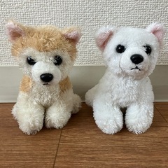 かわいい犬のぬいぐるみの画像