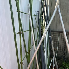 決まりました！家庭菜園用のポールの画像