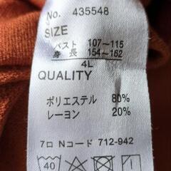 値下げ大きいサイズシャツの画像