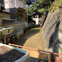 №G568【京都府八幡市橋本東】竹林化している保安林1筆あげます！ - 八幡市