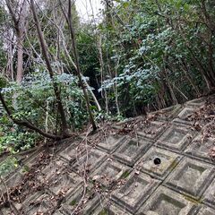 №G568【京都府八幡市橋本東】竹林化している保安林1筆あげます！ − 京都府