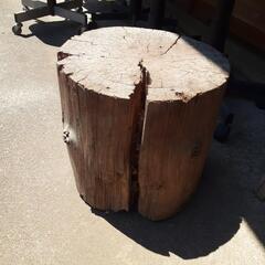 切り株　木　椅子に。の画像