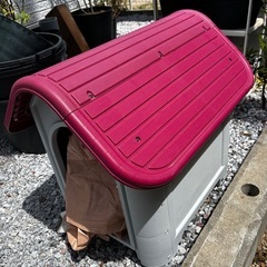 犬小屋　未使用の画像