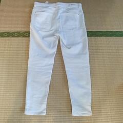 コットンパンツ　メンズの画像