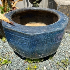 水鉢，壺，鉢植え，