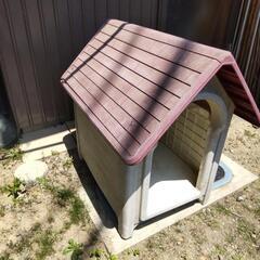 犬小屋、犬舎の画像