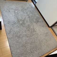 ニトリ　アクセントラグ　サーヴェ　カーペット
