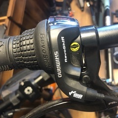 自転車ほぼ新車　PELTECH Flip one 20inchの画像