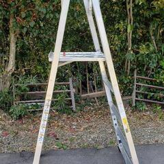 Platform Ladderの画像