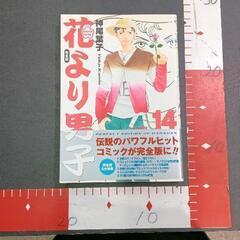 0430-099 花より男子