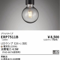 遠藤照明  2024年製　黒艶消　プラグ式 ペンダントライト 2点の画像