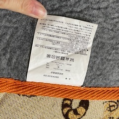 マット　ディズニーの画像