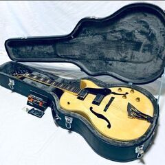 Washburn J-3 NK 美品:純正HC(鍵付)&汎用SC付属