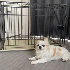 ペットゲージM 屋根付き スライドドア