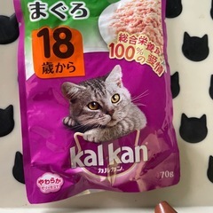 ★無料★シニア猫用フード