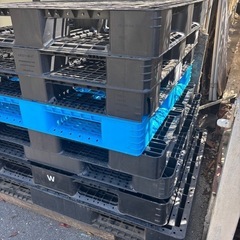 プラスチック　パレット　8枚あります。の画像