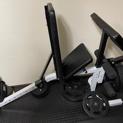 WILD FIT アジャスタブルベンチ 一式の画像