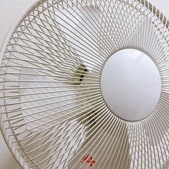 無印良品 扇風機の画像
