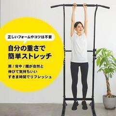 未使用品 ステディ STEADY ぶら下がり健康器 ST101-B1