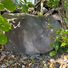 石　欲しい方の画像