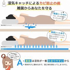 チチロバ(TITIROBA) 除湿シート セミダブル 湿気対策 吸湿センサー付き 梅雨対策 防ダニ 防カビ 消臭 洗える 除湿マット 寝具用除湿シート 布団湿気取りシート 吸湿マット ベッド用 洗える グレー 110×180cの画像
