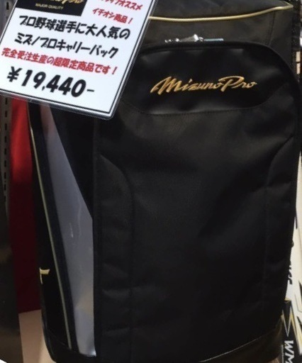 【別サイトでも出品中最終値下げ、状態良】ミズノプロ　キャリーバック