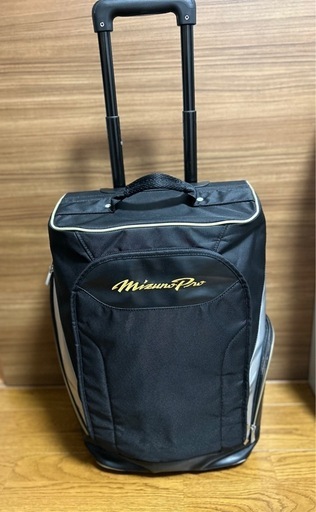 【別サイトでも出品中最終値下げ、状態良】ミズノプロ　キャリーバック