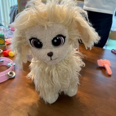 トリミングペットサロンの画像